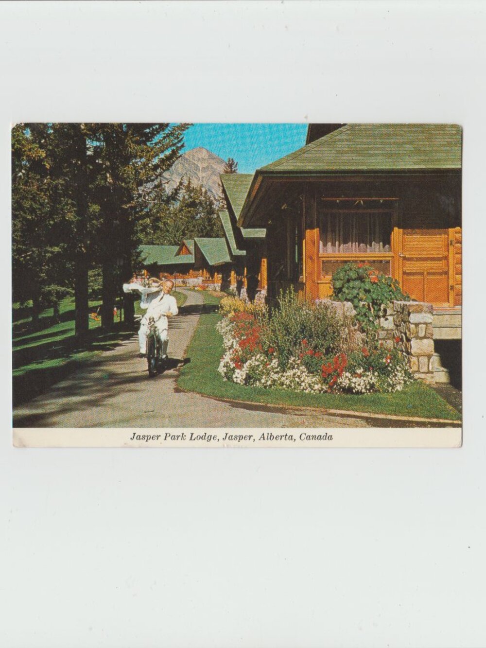 Bicycle Riding Room Service Waiter - Vintage Postcard - Jasper Park Lodge Canada